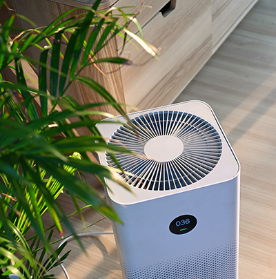 Do Air Purifiers Help Prevent Respiratory Diseases?
